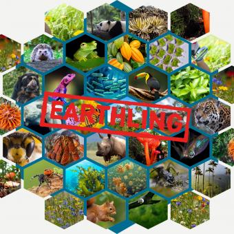 Images of animals and plants with Earthling label